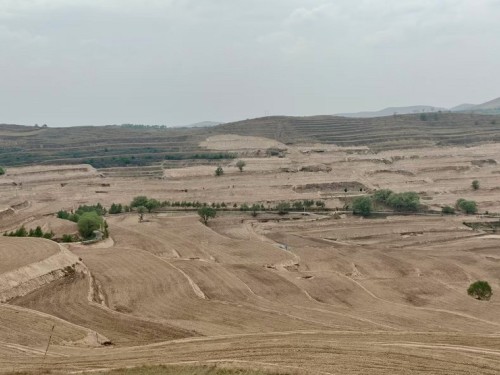 匠心筑就高標準農田 多維發(fā)力服務鄉(xiāng)村振興